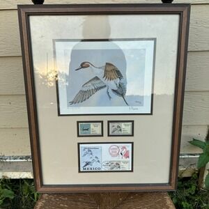 A Rovira Signed 1994 Mexico Duck Stamp Print First of Nation Pintail Framed 4277